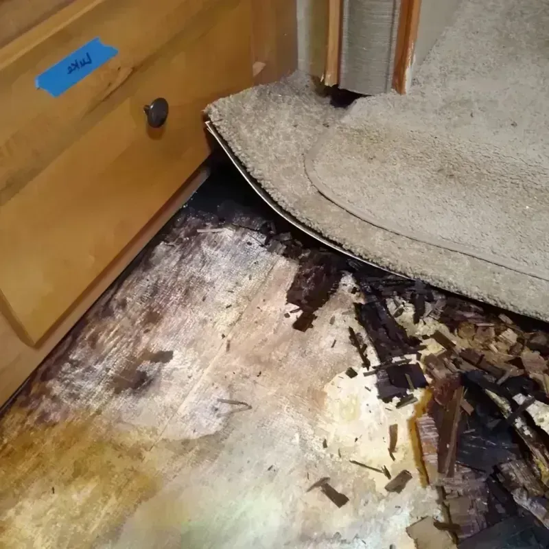 Best Wood Floor Water Damage Service in Saint Augustine Beach, FL